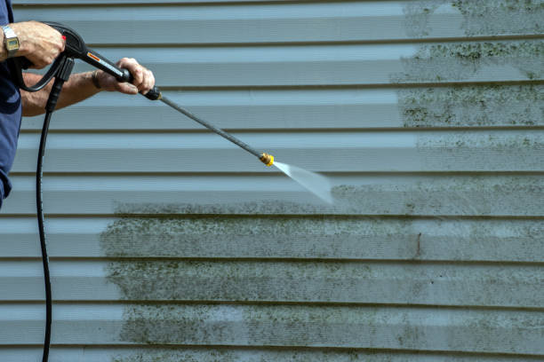 Best Graffiti Removal  in Pineland, TX