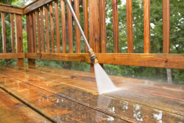 Best Spring Cleaning  in Pineland, TX